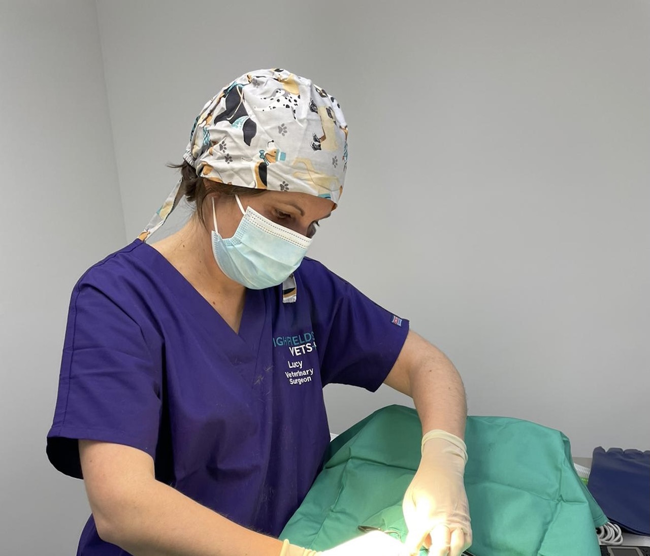 What to Expect When Your Pet Comes for an Operation