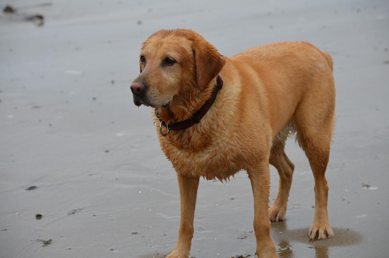 When it’s not just an ‘age-thing’