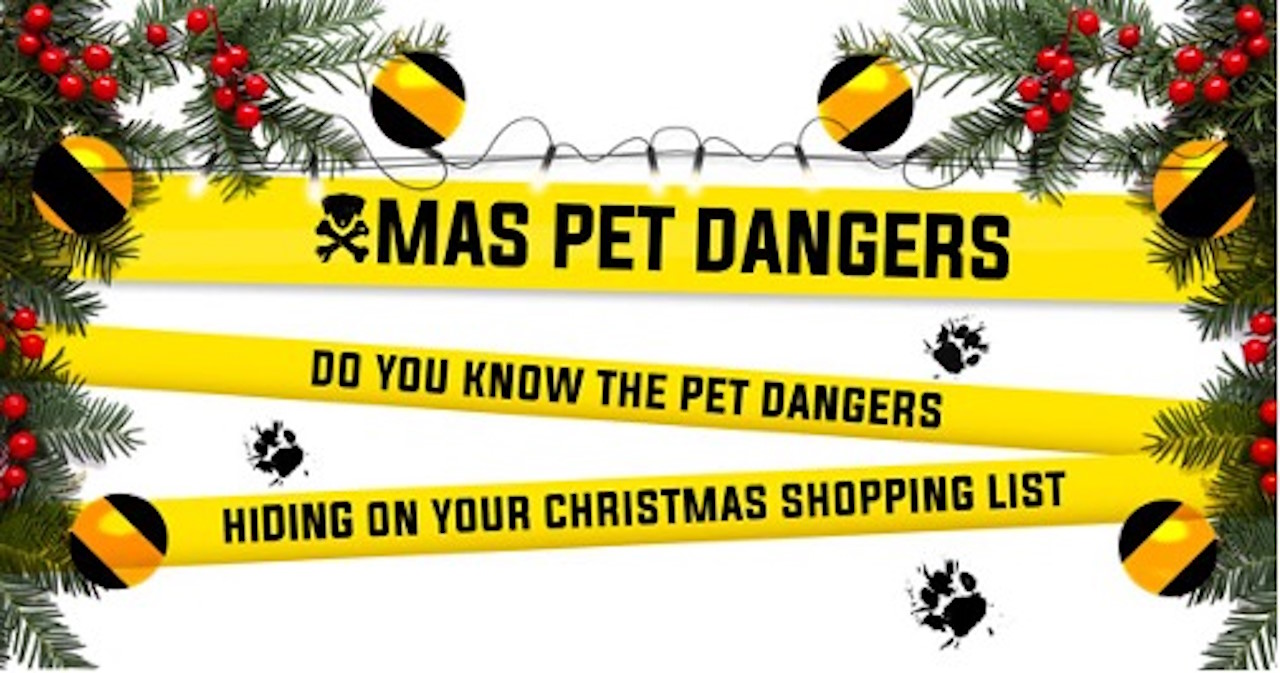 Christmas Pet Dangers